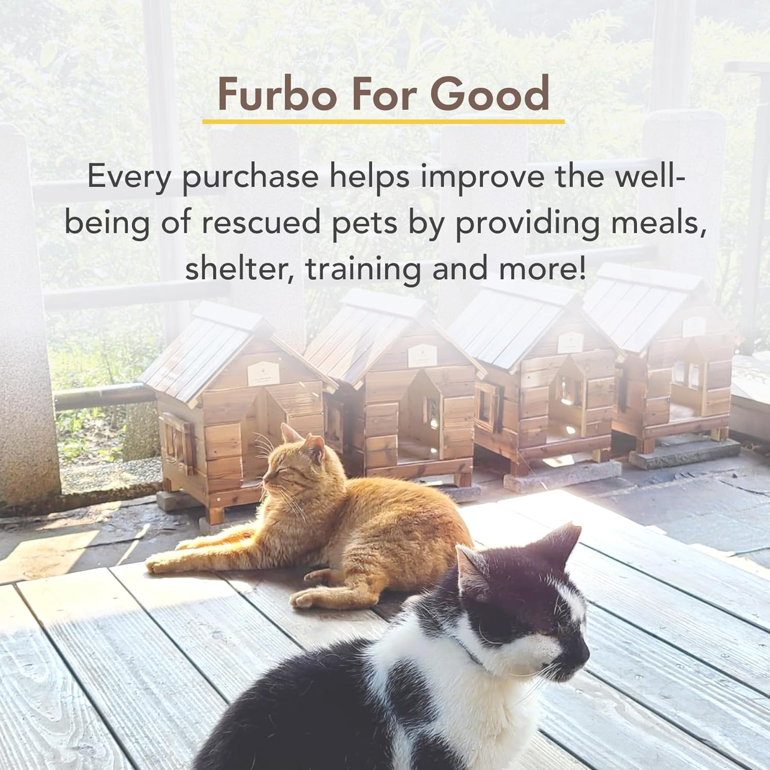 furbo 360 dog camera dog nanny wsmart alerts paid app subscription required home emergency dog safety alerts 360 rotatin 1