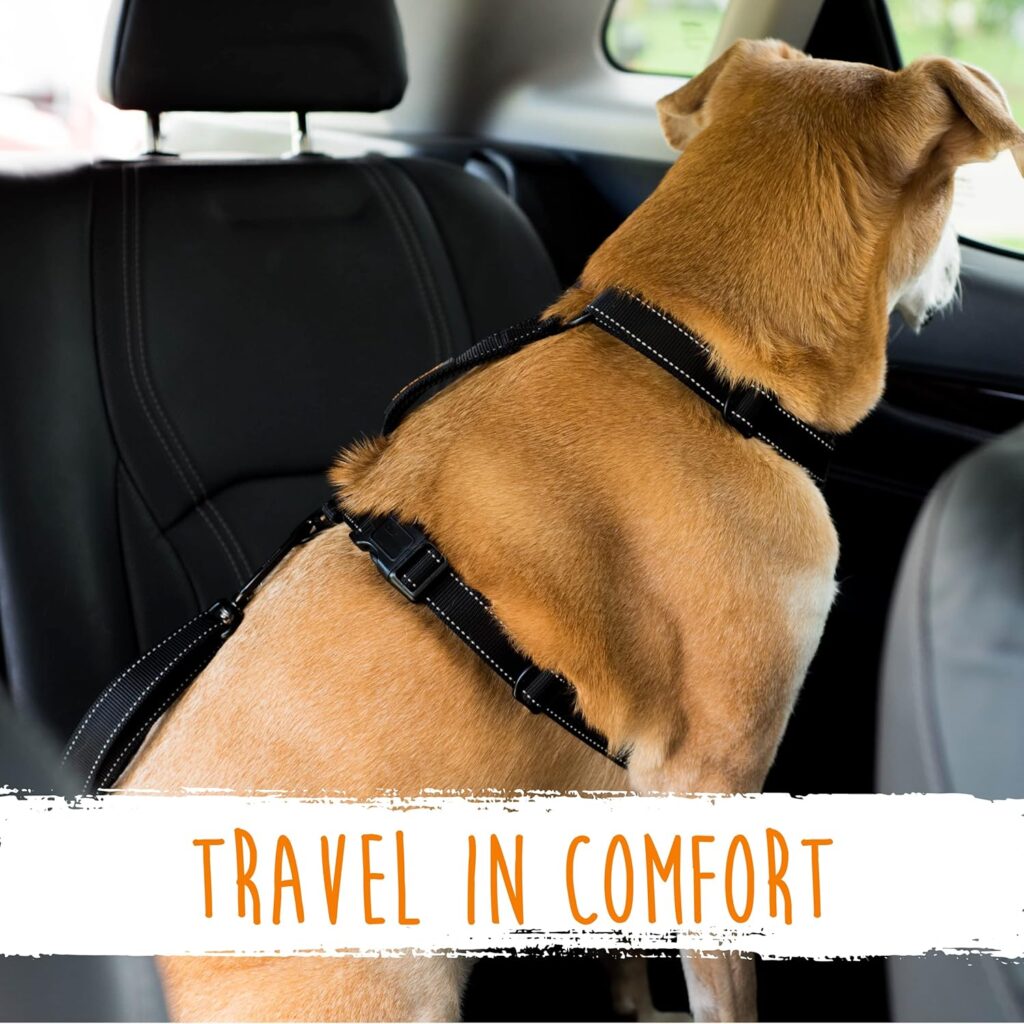 Mighty Paw Dog Car Safety Belt | Dog Seatbelt Ensures Pet Protection While Driving - Seatbelt for Dogs for Car - Dog Vehicle Accessory - Dog Car Seat Belt Attachment - Car Leash Restraint System