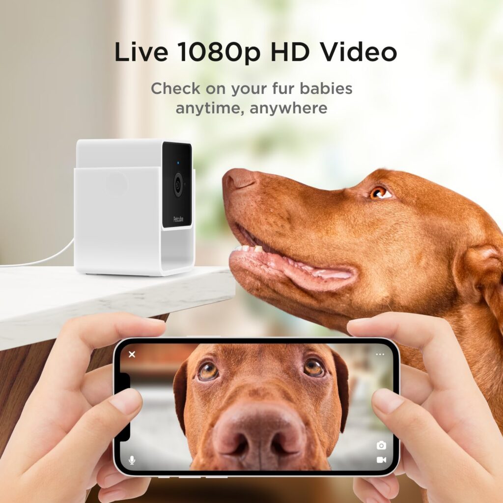 Petcube Cam The Pack of 2 | Indoor Wi-Fi Pet and Security Camera with Phone App, Pet Monitor with 2-Way Audio and Video, Night Vision, 1080p HD Video and Smart Alerts for Ultimate Home Security