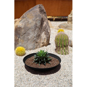 Mercury Row® Pure Series Lane Bowl Planter