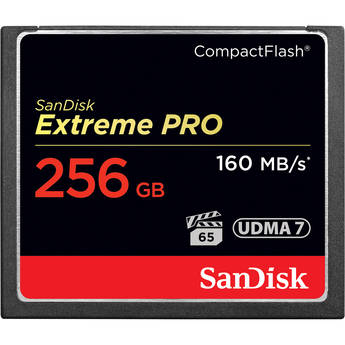 SanDisk 256GB Memory Card